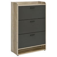 Danny Shoe Storage Cabinet, 3 Tiered, Bottom Shelf, Antiqued Gray Pine  - BM318983