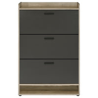 Danny Shoe Storage Cabinet, 3 Tiered, Bottom Shelf, Antiqued Gray Pine  - BM318983