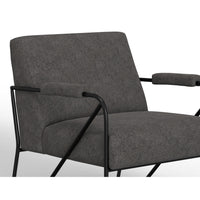 Levy Accent Chair, Iron Gray Polyester, Soft Plush Foam, Black Metal Legs -BM320830