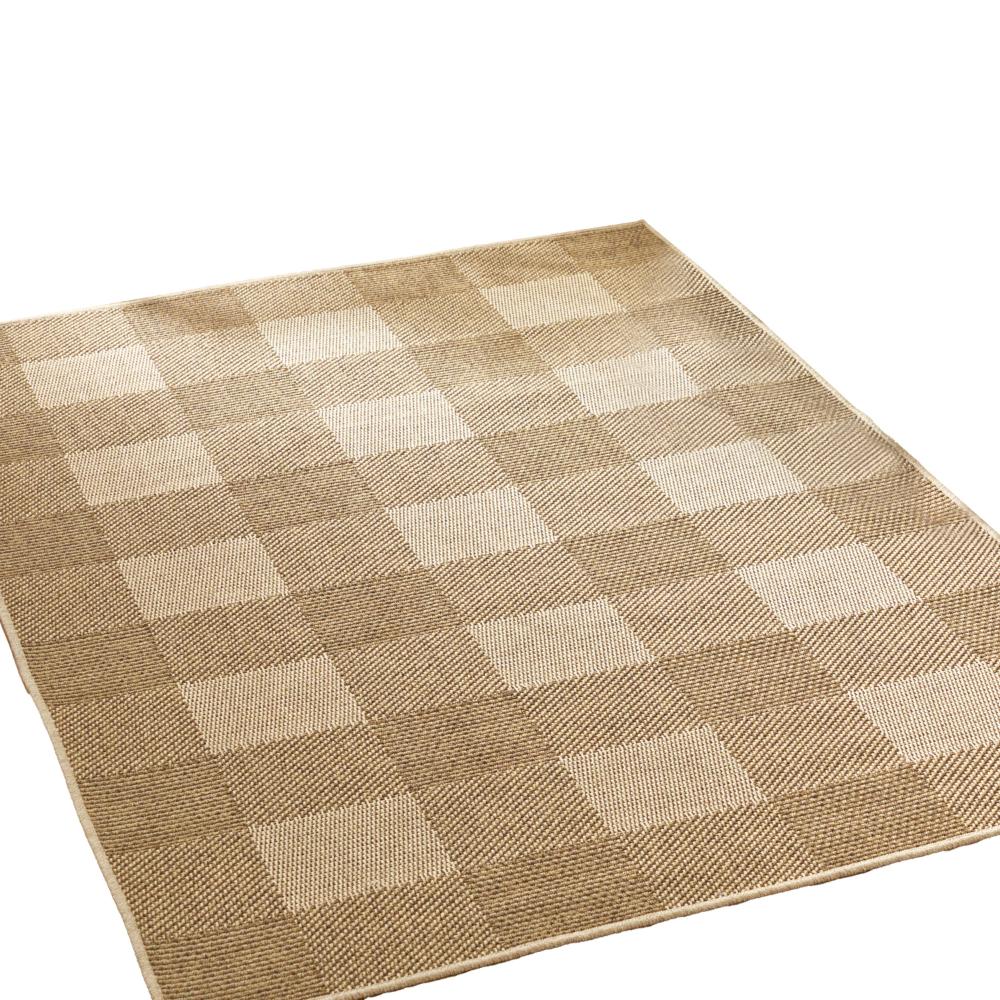 Ricky Area Rug, Rectangular 5 x 7, Light Brown Indoor Outdoor Plaid Pattern -BM321219