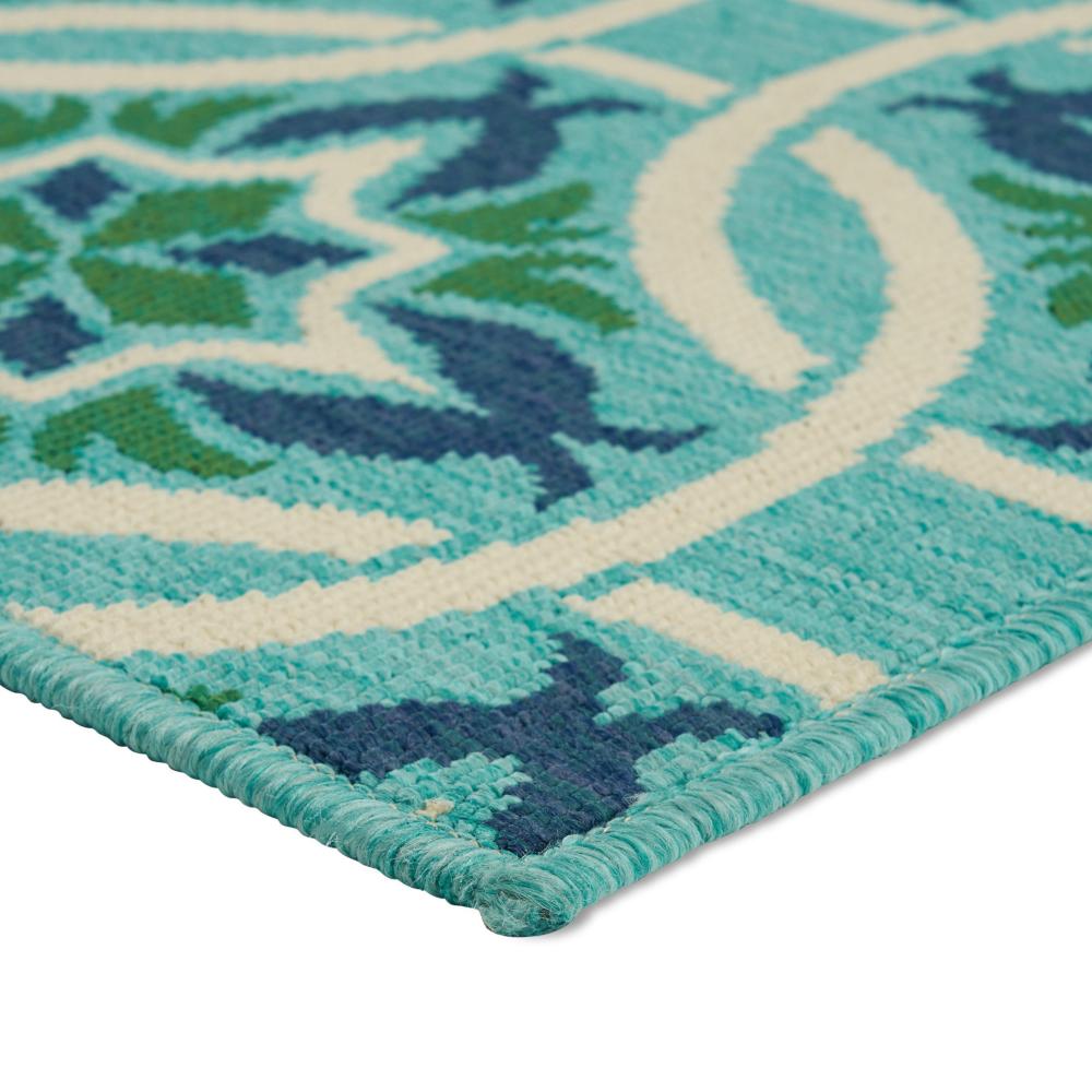 Dian 5 x 8 Area Rug, Blue, Green, White Indoor Outdoor, Intricate Design -BM321225
