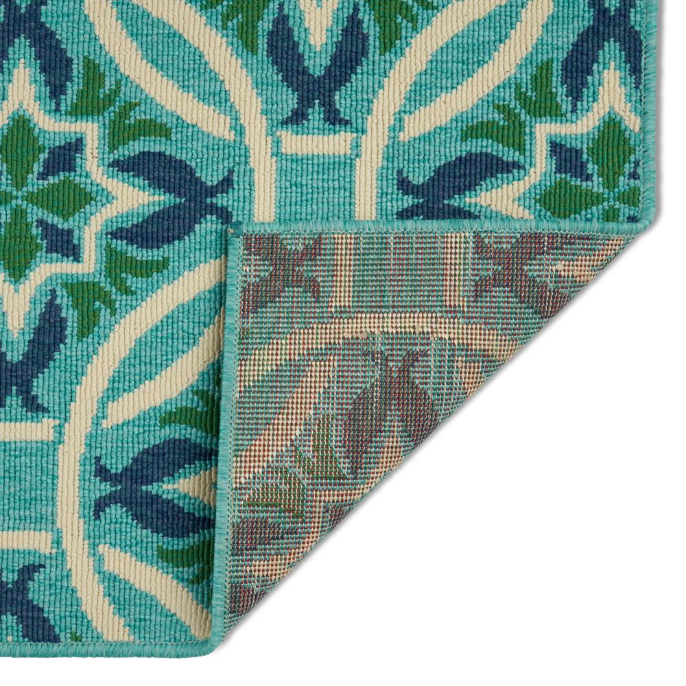 Dian 5 x 8 Area Rug, Blue, Green, White Indoor Outdoor, Intricate Design -BM321225