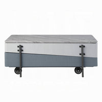Mindy Coffee Table with Lift Top, 3 Compartments, White Gray 47 Inch -BM324380