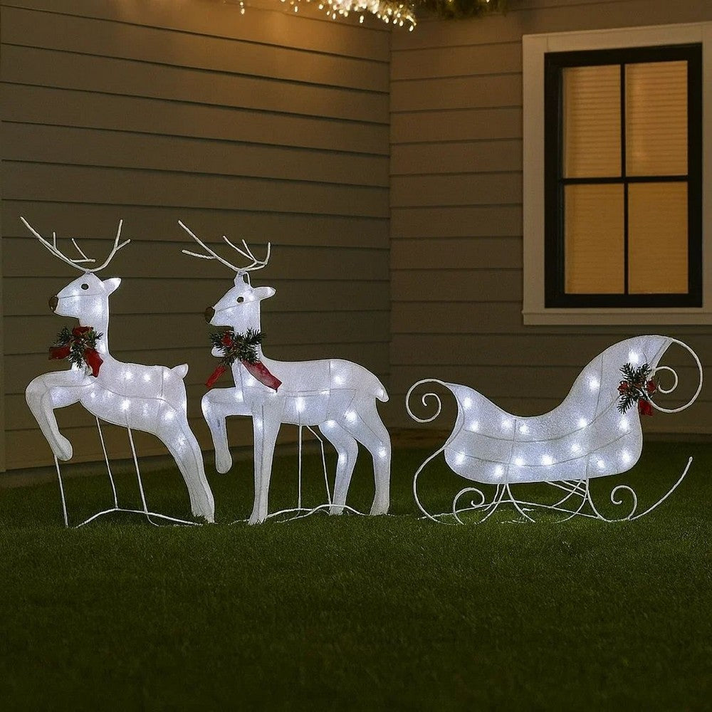 Garden 2pc Reindeer and Sleigh Christmas Decoration, 60 LEDs, White -BM325743