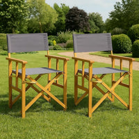 Outdoor Folding Directors Accent Set of 2, Gray, Acacia Wood -BM326287