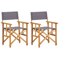 Outdoor Folding Directors Accent Set of 2, Gray, Acacia Wood -BM326287