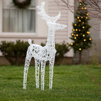 2pc Outdoor Christmas  Decor, 40 Cool White LEDs, Acrylic -BM326403