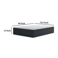 Deny Queen Mattress, High Density Memory Foam, Plush Support 14 Inch -BM326818