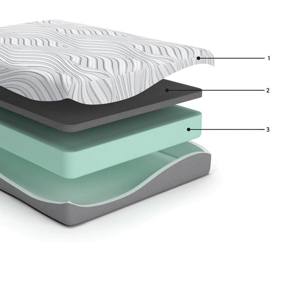 Meny Twin Mattress, Ultra Plush Memory Foam, Body Support 12 Inch -BM326834
