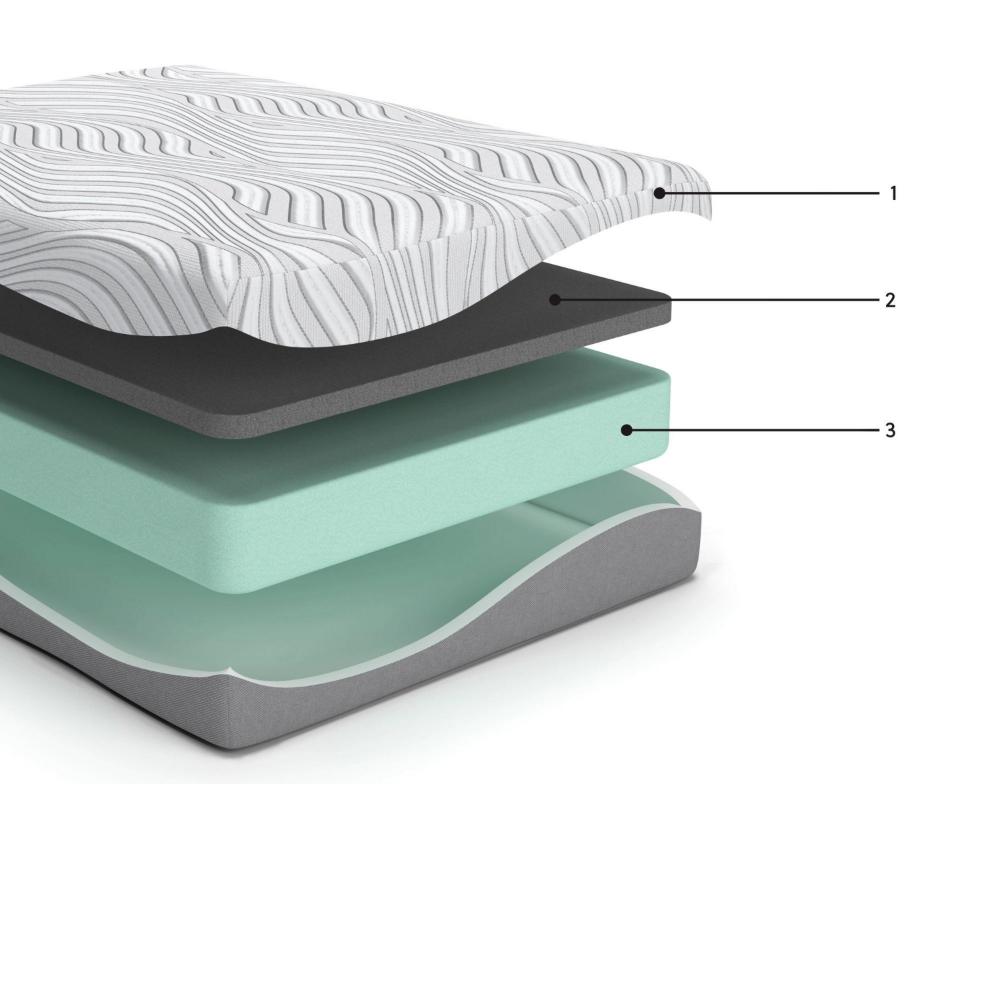 Meny Queen Mattress, Ultra Plush Memory Foam, Body Support 12 Inch -BM326836