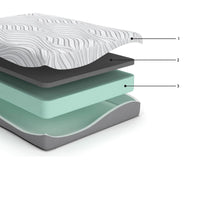 Meny Queen Mattress, Ultra Plush Memory Foam, Body Support 12 Inch -BM326836