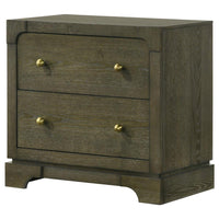 Seon Nightstand, 2 Drawers with Brass Knobs, Dark Cocoa Brown Wood -BM328598