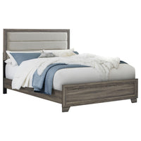Reay Queen Size Bed, Panel Headboard, Brown Wood Tufted Tan Upholstery