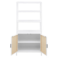 Lanie Tall Accent Cabinet, 3 Shelves 2 Doors, PE Cane, White Metal -BM329165