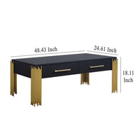 Theo Coffee Table, 2 Drawers, Gold Metal, Retro Black Wood 48 Inch -BM329921