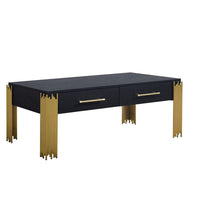 Theo Coffee Table, 2 Drawers, Gold Metal, Retro Black Wood 48 Inch -BM329921