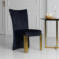 Theo Dining Chair Set of 2, Retro Midnight Black Velvet, Gold Metal -BM329923