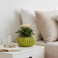 Decorative Planter, Melon Shape, Vertical Ribbed Texture, Green Ceramic - BM330147
