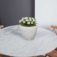 Garden Planter Set of 2, Modern Bowl Shaped Flower Pot, White Ceramic -BM330967