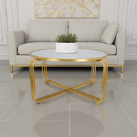 Plant Stand Coffee Table, 37 Inch Round Mirror Top, Modern Gold Metal -BM331004