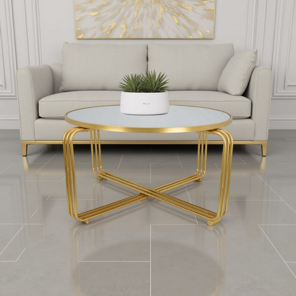 Plant Stand Coffee Table, 37 Inch Round Mirror Top, Modern Gold Metal -BM331004
