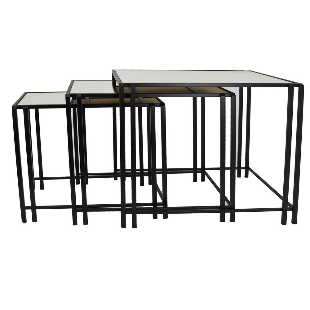 Buckley Nesting Plant Stand Table Set of 2, Black Metal, Mirrored Top -BM331010