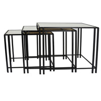 Buckley Nesting Plant Stand Table Set of 2, Black Metal, Mirrored Top -BM331010