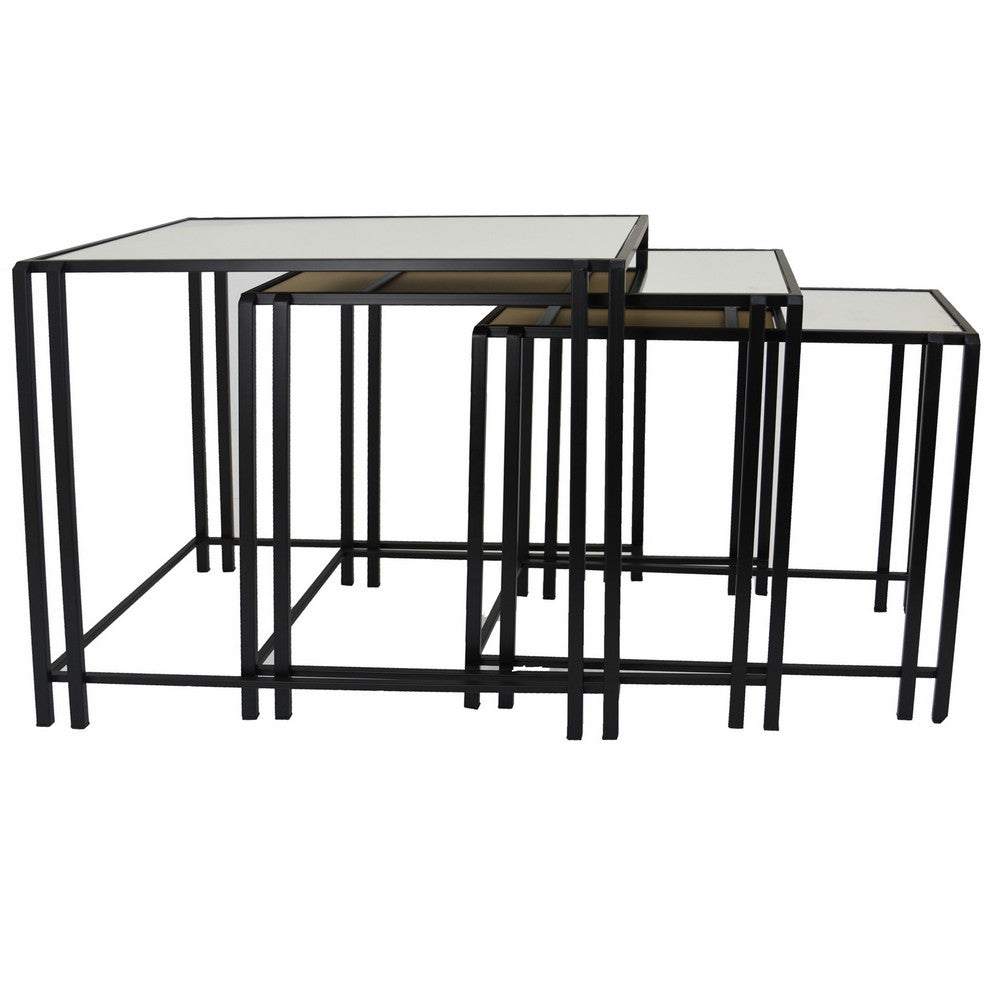 Buckley Nesting Plant Stand Table Set of 2, Black Metal, Mirrored Top -BM331010