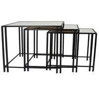 Buckley Nesting Plant Stand Table Set of 2, Black Metal, Mirrored Top -BM331010