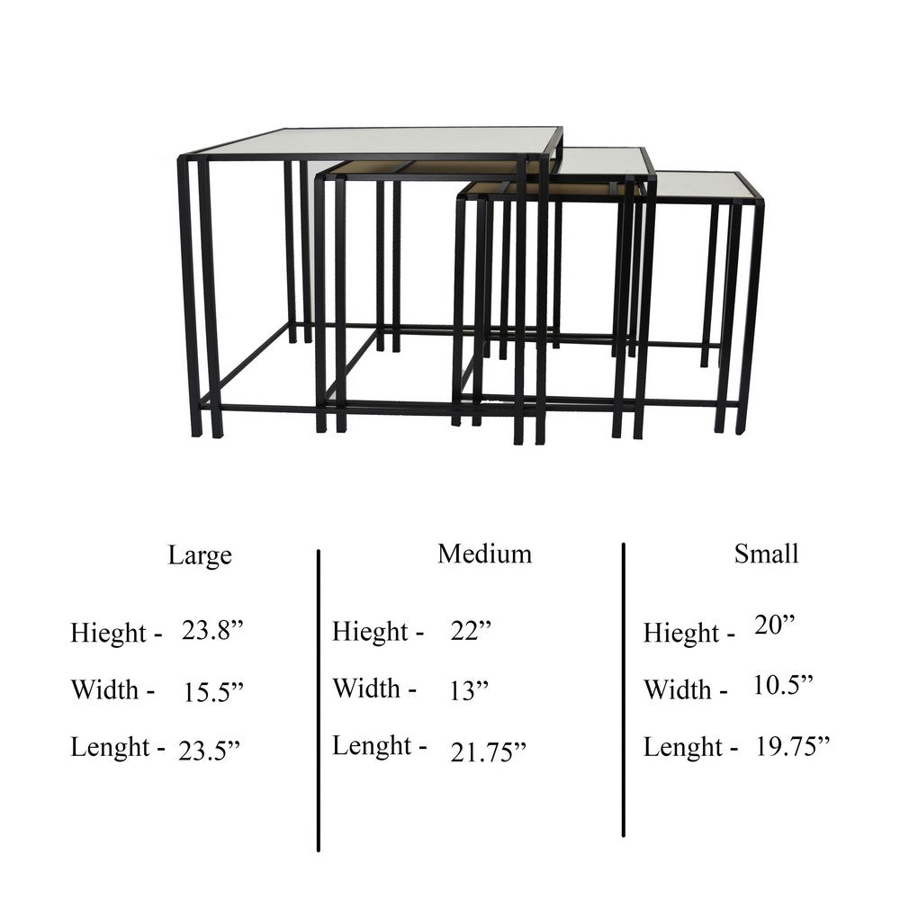 Buckley Nesting Plant Stand Table Set of 2, Black Metal, Mirrored Top -BM331010