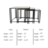 Buckley Nesting Plant Stand Table Set of 2, Black Metal, Mirrored Top -BM331010