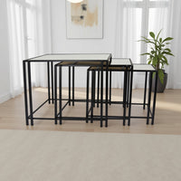 Buckley Nesting Plant Stand Table Set of 2, Black Metal, Mirrored Top -BM331010