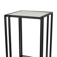 Buckley Plant Stand Table, Black Metal, Square Mirrored Top, 22 Inch -BM331013