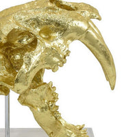 Rimaa Sabertooth Tiger Tabletop Decor, Gold Resin, Acrylic, 13 Inch -BM331062