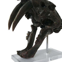 Rimaa Sabertooth Tiger Tabletop Decor, Black Resin, Acrylic, 13 Inch -BM331063