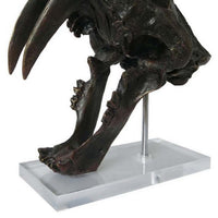 Rimaa Sabertooth Tiger Tabletop Decor, Black Resin, Acrylic, 13 Inch -BM331063