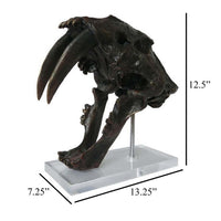 Rimaa Sabertooth Tiger Tabletop Decor, Black Resin, Acrylic, 13 Inch -BM331063