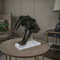 Rimaa Sabertooth Tiger Tabletop Decor, Black Resin, Acrylic, 13 Inch -BM331063