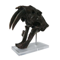 Rimaa Sabertooth Tiger Tabletop Decor, Black Resin, Acrylic, 13 Inch -BM331063