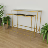 Mihir Plant Stand Table Set of 2, Gold Metal, Sleek Clear Glass Tops -BM331087