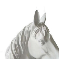 Genny Tabletop Horse Head Sculpture, White Resin Statuette, 19 Inch -BM331340