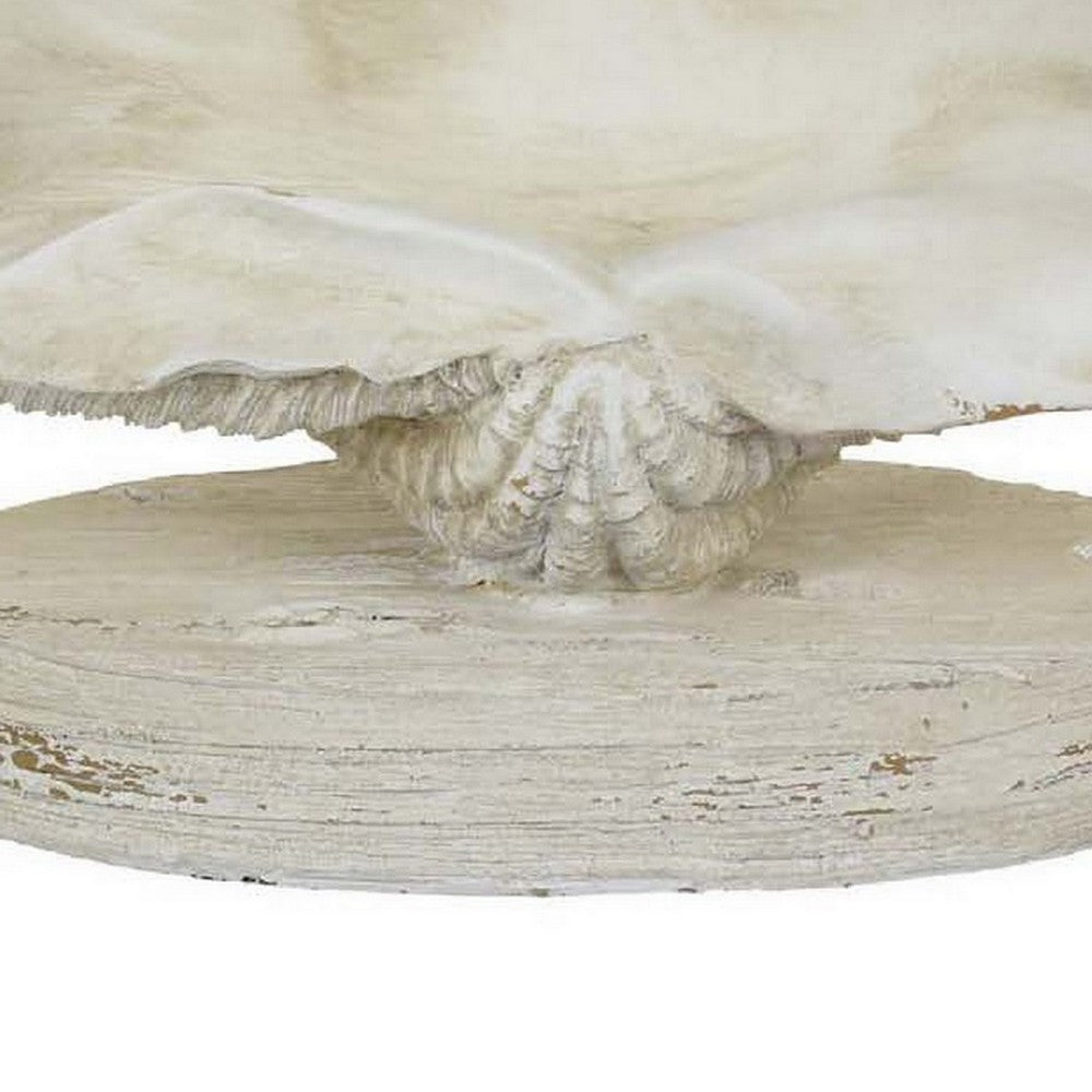 Seashell Home Decor, Antique Style Table Display, White Resin 11 Inch -BM331446