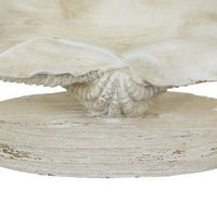 Seashell Home Decor, Antique Style Table Display, White Resin 11 Inch -BM331446