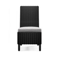 Tira Indoor Outdoor Side Chair Set of 2, Black Wicker, Gray Nuvella -BM332202