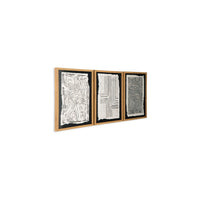 Salina Wall Art Decor Set of 3, Black Beige Abstract Framed, 20x24 -BM332306