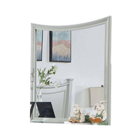 Roly Dresser Mirror, 37 Inch Gray Rectangular Solid Wood Molded Frame -BM332583
