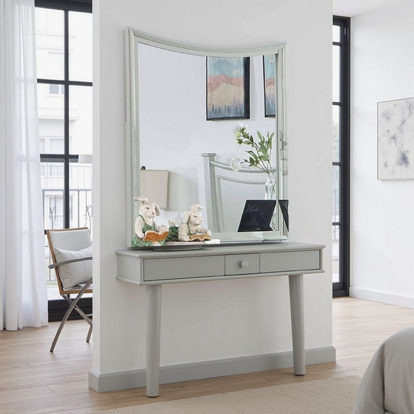 Roly Dresser Mirror, 37 Inch Gray Rectangular Solid Wood Molded Frame -BM332583
