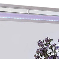 Reya Dresser Mirror, Glam LED Light Trim Solid Wood Frame, 49 Inch -BM332612