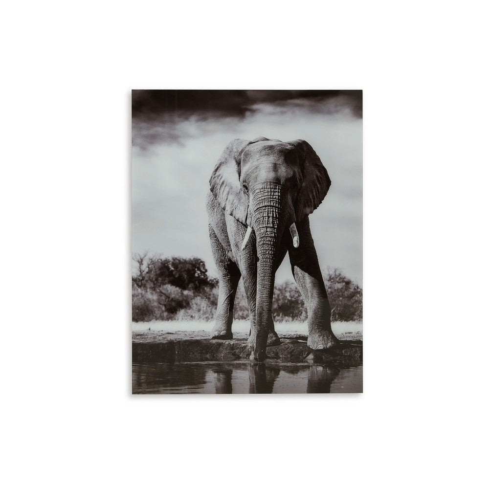 Accent Wall Art Decor, Printed Glass 36x48 Gray and White Elephant -BM332862
