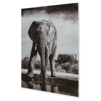 Accent Wall Art Decor, Printed Glass 36x48 Gray and White Elephant -BM332862
